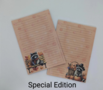 A5 Notepad Autumn Racoon - by StationeryParlor