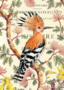 "seconds" Postcard Gwenaëlle Trolez Créations - Huppe (hoopoe)