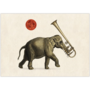 Inkognito Postcard | Sound Fauna - Elephant