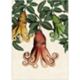 Inkognito Postcard | Octopus Harvest