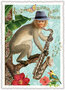 PK 1203 Tausendschön Postcard | Monkey with hat