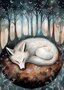 Sleepy Woodlands: Wolf | Postcard Fripperies