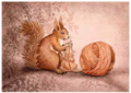 Postcard 448 by Katja Saario - Knitting Squirrel