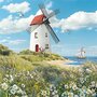 Barbara Behr - Auguri Postcard | Windmill by the sea