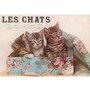 Postcard Gwenaëlle Trolez Créations - Les Chats