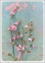 Postcard | Spring greetings