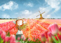 PRE ORDER: Postcard Ila Illustrations 150 - Tulips fields