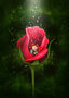 PRE ORDER: Postcard Ila Illustrations 005 - Snuggle bud