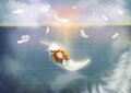 PRE ORDER: Postcard Ila Illustrations 100 - Feather