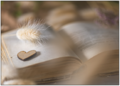 Postcard | Book with heart