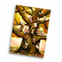 A6 Postcard from Esther Bennink - Uilenboom