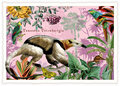 PK 1264 Tausendschön Postcard - ant-eater
