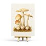 Vintage Mushroom Postcard by Penpaling Paula