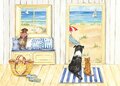 Carola Pabst Postcard | Dogs and cat on the beach