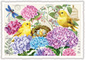 PK 1330 Tausendschön Postcard - Hydrangeas