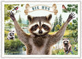 PK 1322 Tausendschön Postcard - Big Hug