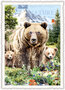 PK 1319 Tausendschön Postcard - Bear