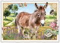 PK 1323 Tausendschön Postcard - Donkey