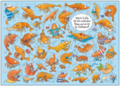 Search Postcard | Welche Krabbe hat eine verbundene Flosse...