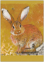 Postcard Loes Botman | Rabbit II