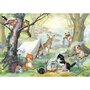 Postkarte Molly Brett | Kittens Camp