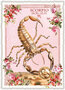PK 1314 EN Tausendschön Postcard | Scorpio