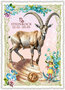 PK 1304 DE Tausendschön Postcard | Steinbock