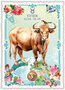 PK 1308 DE Tausendschön Postcard | Stier