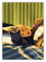 Hessah Art Postcard - sleeping cat