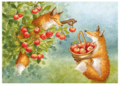 Postcard 491 by Katja Saario - Apple Picking