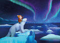 Postcard Ila Illustrations 256 - Northern lights