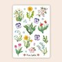 Asia Spettel Stickersheet - Spring Flowers