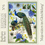 Edition Wundersam Postcard 06 - Majesties in harmony