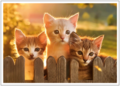 Postcard | Kitten friendship