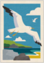 Postcard | Seagull flight