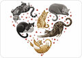 Rosie Hilyer Postcard - my treasures