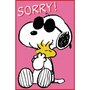 A6 Postcard Peanuts - Snoopy and Woodstock "Sorry"
