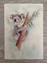 Wildgardens Postcard - Koala