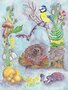 Wildgardens Postcard - Winter