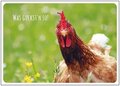 Postcard | Was guckst´n so!