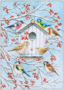 Postcard | Little winter birds
