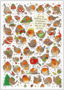 Search Postcard | Wo ist das Rotkehlchen mit dem Weihnachtsmann...?
