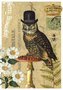 PK 476 Tausendschön Postcard | Owl Hat