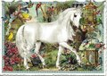 PK 495 Tausendschön Postcard | White Horse
