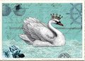 PK 489 Tausendschön Postcard | Swan