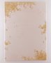 A4 Colourful Paper Amy and Tim | Golden Cassia fistula