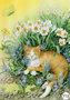 Inge Look Nr. 113 Postcard Garden | Cat