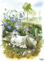 Inge Look Nr. 114 Postcard Garden | Cat
