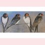 Postcard Loes Botman | Swallows