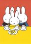 Nijntje Miffy Postcards | Familie Pluis